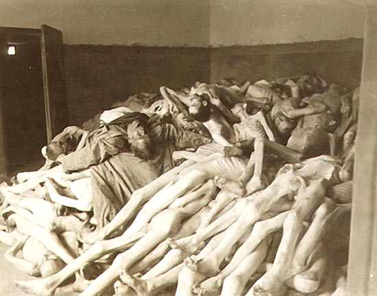 holocaust-bodies.jpg