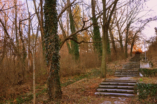 Скобелев парк.JPG