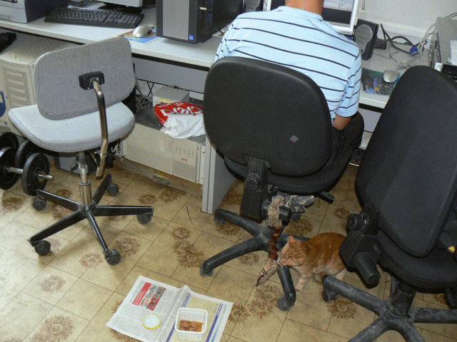 Съни си тормози новата играчка