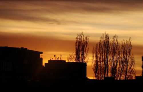DSC02008.jpg